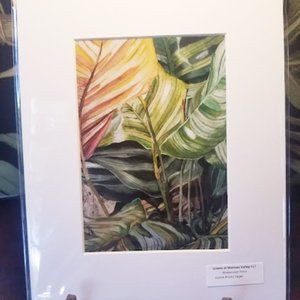 Leaves at Waimea-WC Print-Matted to 8x10